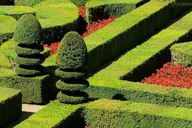 c7c7娱乐平台官网入口(中国集团)官方网站