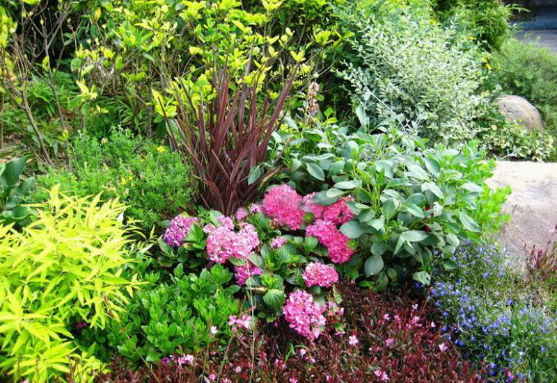 c7c7娱乐平台官网入口(中国集团)官方网站